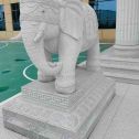 大庆 白麻花岗岩动物异形石雕-大象