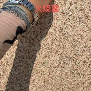 大庆黄金麻火烧面